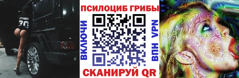 что такое   Нелидово  Псилоцибиновые грибы прущие грибы 